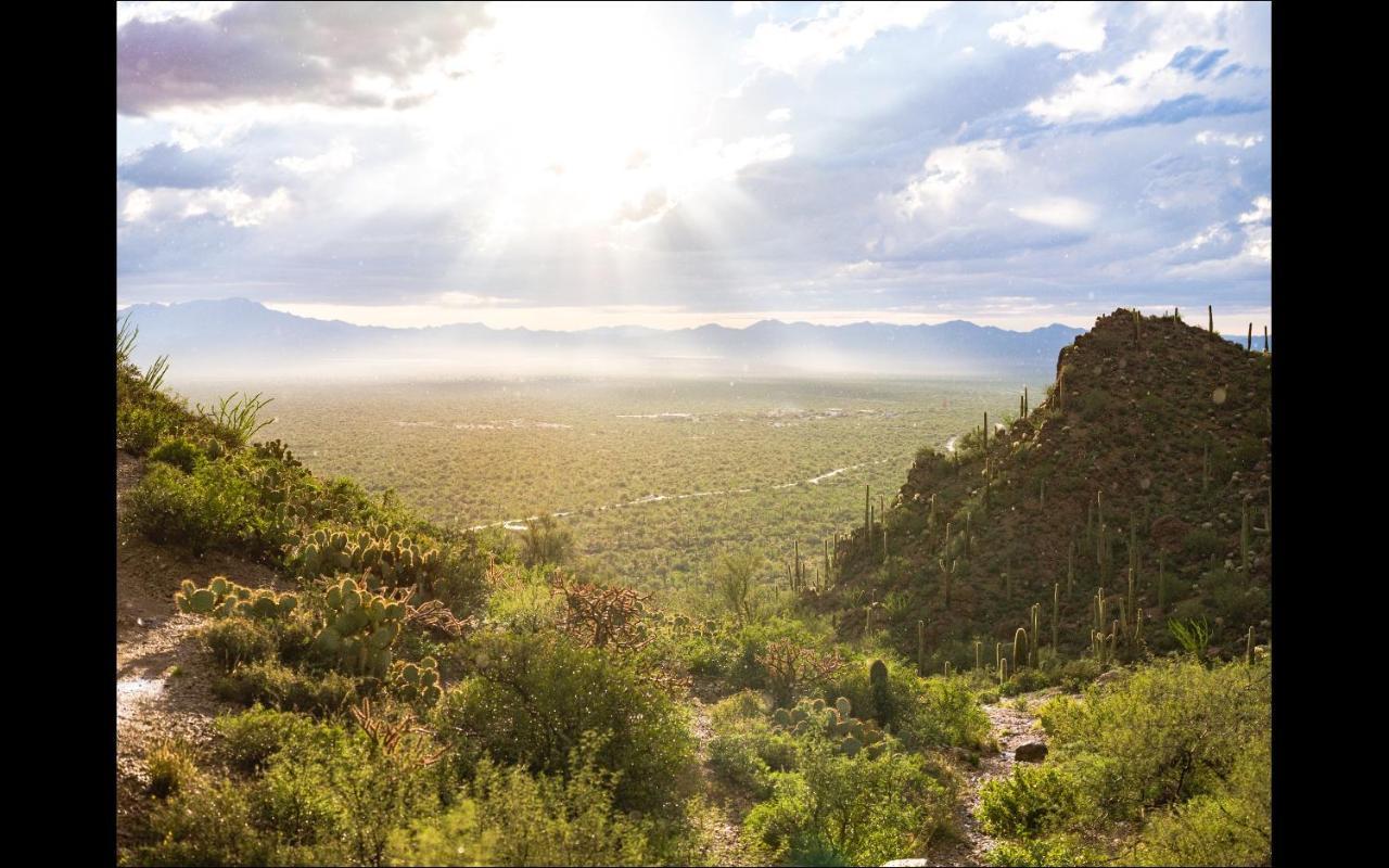 Casa Tierra Adobe Bed & Breakfast Avra Dış mekan fotoğraf
